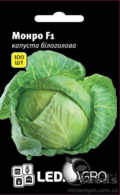 Капуста білокачанна, Капуста білокачанна,