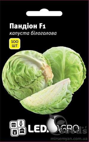 Капуста білокачанна "Пандіон" F1 100 семена L