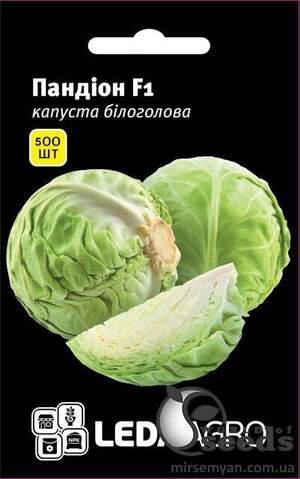 Капуста білокачанна "Пандіон" F1 500 семена L