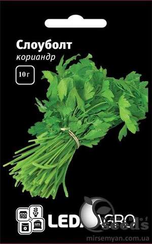 Коріандр "Слоуболт" 10 г. L (Hem Zaden BV Netherlands)