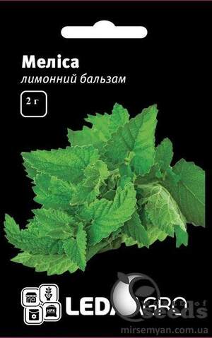 Меліса "Лімонний бальзам" 2 р. L (Hem Zaden BV Netherlands)