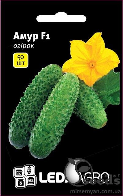 Огірок «Амур» F1 50 семена L (Бейо / Bejo Zaden) Огірок «Амур» F1 50 семена L (Бейо / Bejo Zaden)