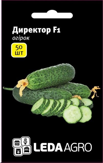 Огірок Директор F1 50 семена Л Огірок Директор F1 50 семена Л