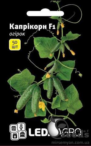 Огірок "Каприкорн" F1 50 семена (Yuksel Seeds) Л