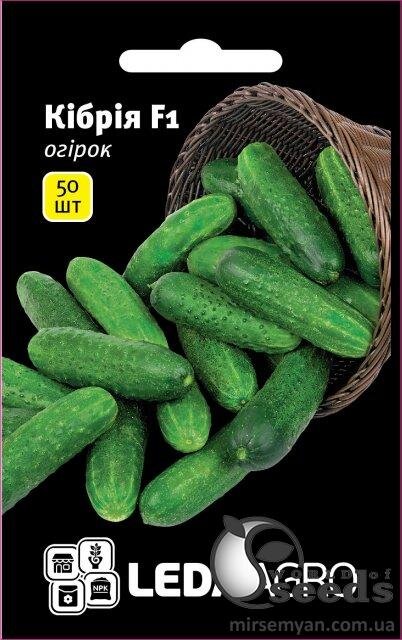 Насіння огірка Насіння огірка