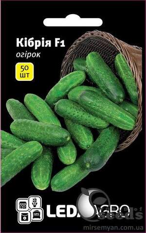 Насіння огірка "Кібрія" F1 50 семена L (Рійк Цваан/Rijk Zwaan)