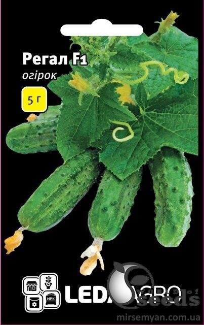 Огірок "Регал" F1 5 г. L (Клоз / Clause) Огірок "Регал" F1 5 г. L (Клоз / Clause)