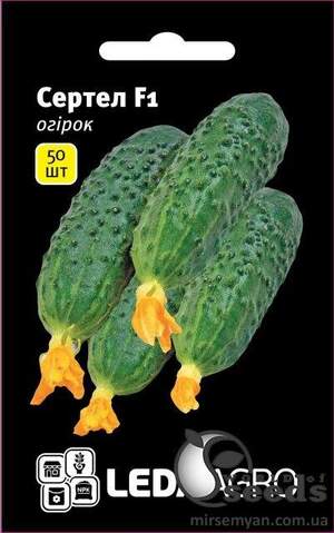 Огірок Сертел F1 50 семена Л