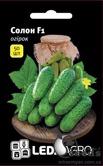 Огірок "Солон" F1 50 семена L (Yuksel Seeds) Огірок "Солон" F1 50 семена L (Yuksel Seeds)