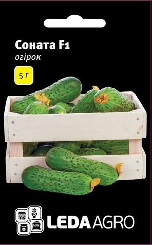 Огірок Соната F1 – 5г. L (Рійк Цваан/Rijk Zwaan)