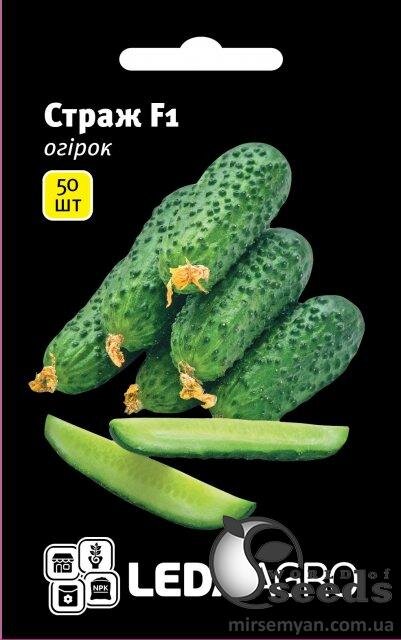 Огірок Огірок