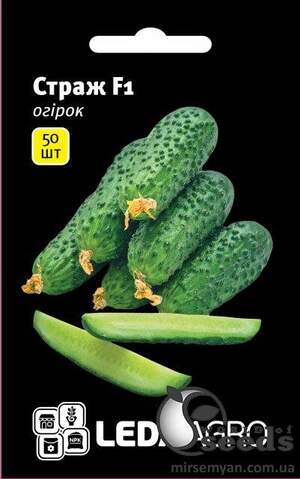 Огірок "Страж" F1 50 семена L (Yuksel Seeds)