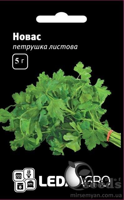 Петрушка Новас - 5 г. L (Clause) Петрушка Новас - 5 г. L (Clause)
