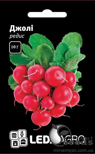 Редис  Редис