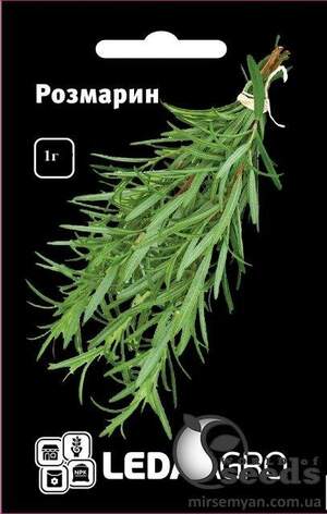 Розмарин 1 р. L (Hem Zaden BV Netherlands)