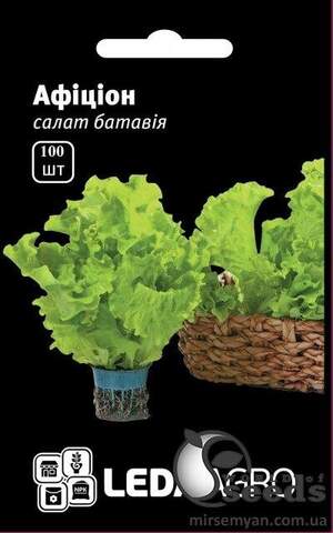Салат Афіціон, батавія 100 семена Л