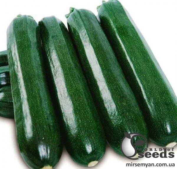Кабачок "Кора F1" 500 семена Клоз (Clause) Кабачок "Кора F1" 500 семена Клоз (Clause)