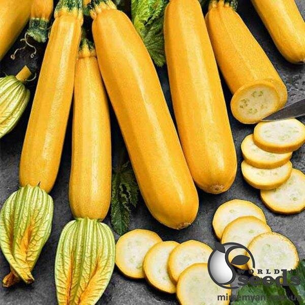 Кабачок "Мери Голд F1" 500 семена Клоз (Clause) Кабачок "Мери Голд F1" 500 семена Клоз (Clause)