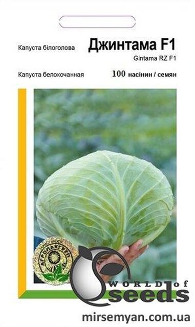 Капуста білокачанна, Капуста білокачанна,