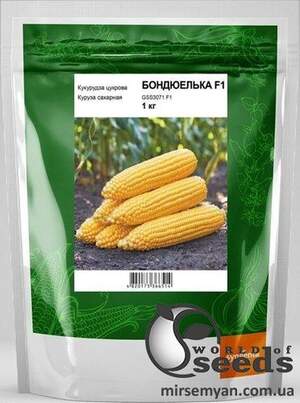 Кукурудза цукрова  Бондюелька GSS 3071 F1 – 1 кг. А (Syngenta)
