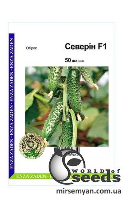 Огірок "Северін" F1 - 50 семена А (Enza Zaden) Огірок "Северін" F1 - 50 семена А (Enza Zaden)