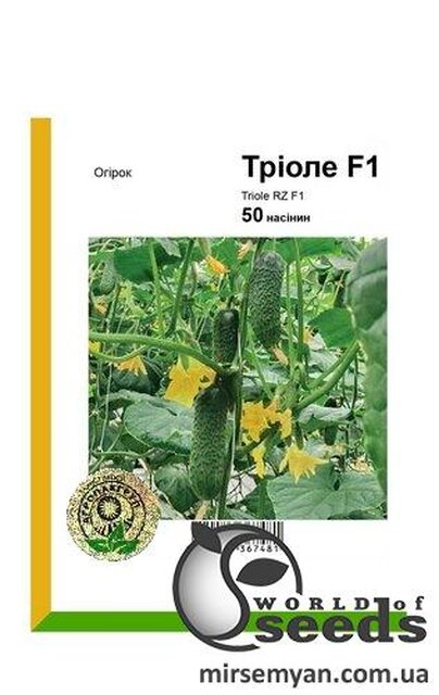 Огірок Тріоле F1 50 с. А Рійк Цваан Огірок Тріоле F1 50 с. А Рійк Цваан