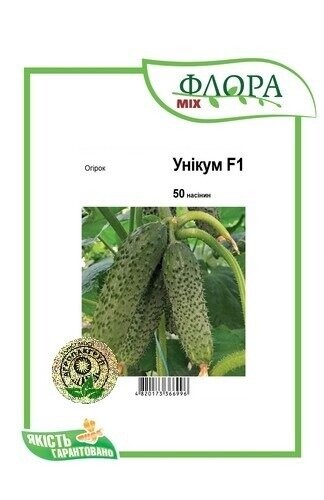 Насіння огірка Насіння огірка