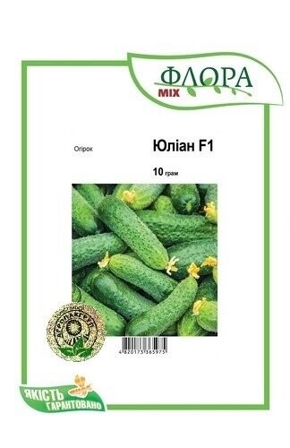 Насіння огірка Насіння огірка