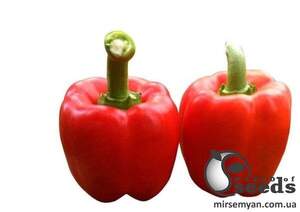 Перець Том F1, 50 нас. А (Lark Seeds) Перець Том F1, 50 нас. А (Lark Seeds)