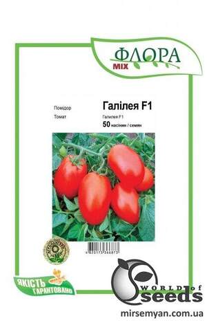 Томат Галілея F1 50 c. А (Hazera)