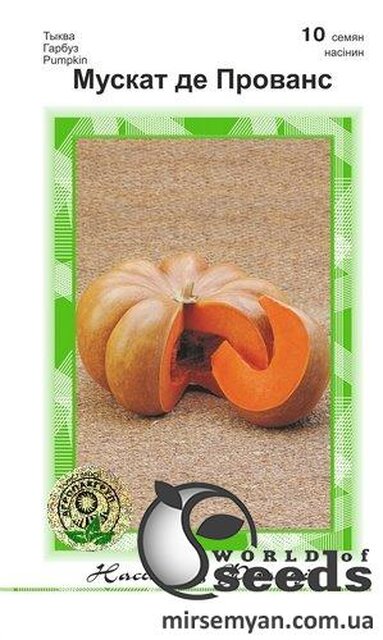 Гарбуз сорт Гарбуз сорт