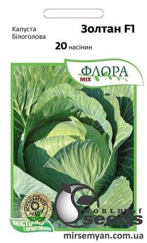 Капуста білокачанна "Золтан" F1 20 с. А (Hazera)