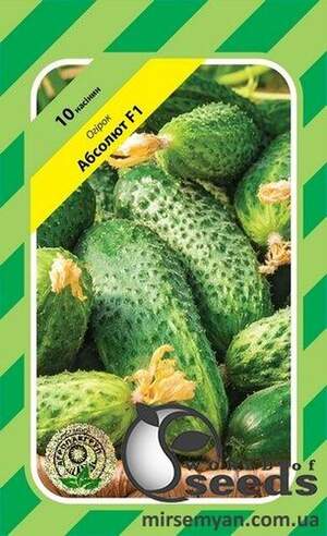 Насіння огірка "Абсолют F1 / Absolut F1" 10 с. А Бейо (Bejo)