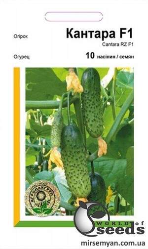 Огірок "Кантара" F1 10с. А Рійк Цваан/(Rijk Zwaan)