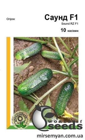 Огірок "Саунд" F1 10 с. А Рійк Цваан/(Rijk Zwaan)