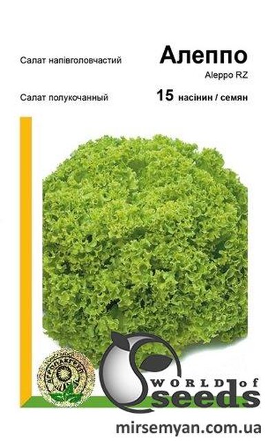 Салат Алеппо 15 нас. А (Rijk Zwaan) Салат Алеппо 15 нас. А (Rijk Zwaan)