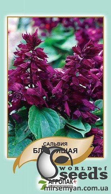 Сальвія пурпурно-фіолетова 0,2 г. А Сальвія пурпурно-фіолетова 0,2 г. А