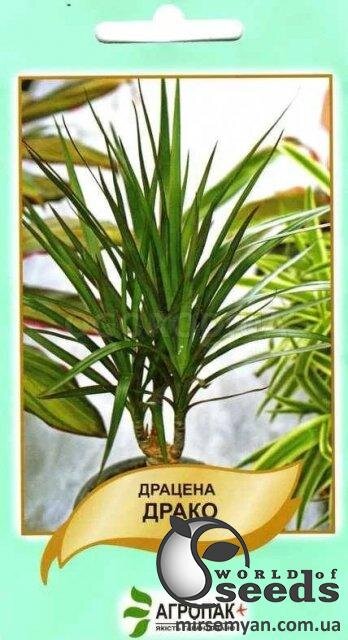 Драцена Драко 5 семена А Драцена Драко 5 семена А
