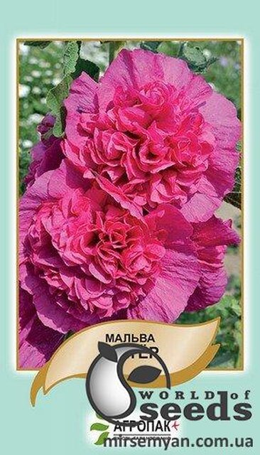 Мальва Шатер, пурпурна – 0,5 г А Мальва Шатер, пурпурна – 0,5 г А