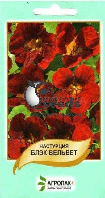 Настурція Блек Вельвет – 2 г А Настурція Блек Вельвет – 2 г А