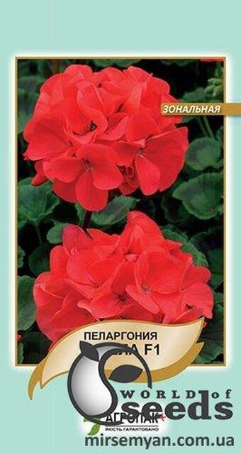 Пеларгонія зональна Гізела – 5 семена А Пеларгонія зональна Гізела – 5 семена А
