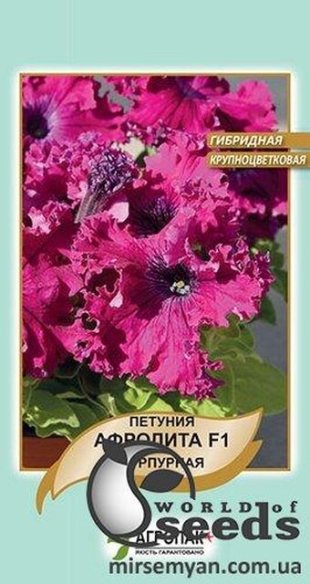 Петунія гібридна великоквіткова, бахромчаста, низькоросла "Афродіта" F1, пурпурна 10 насінин А Петунія гібридна великоквіткова, бахромчаста, низькоросла "Афродіта" F1, пурпурна 10 насінин А