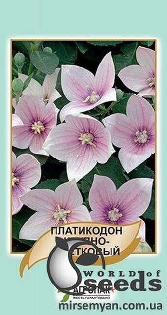 Платикодон великоквітковий, рожевий - 50 насінин, А Платикодон великоквітковий, рожевий - 50 насінин, А