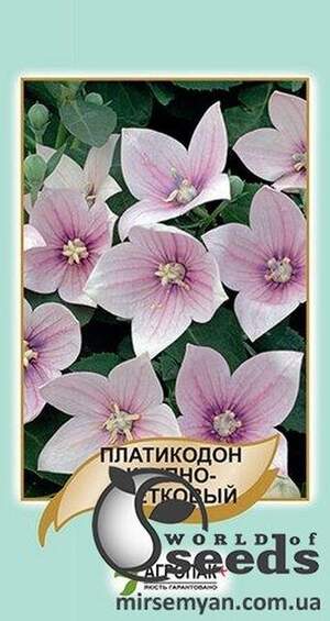 Платикодон великоквітковий, рожевий - 50 насінин, А
