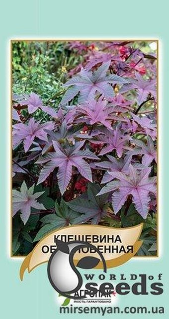 Рицина ( рицина) звичайна - 5 насіння, А Рицина ( рицина) звичайна - 5 насіння, А