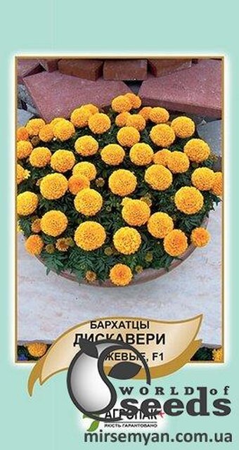 Чорнобривці Дискавері оранжеві 10 насінин , А Чорнобривці Дискавері оранжеві 10 насінин , А