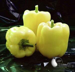 Перець Мадонна F1 – 500 семена (Clause) Перець Мадонна F1 – 500 семена (Clause)