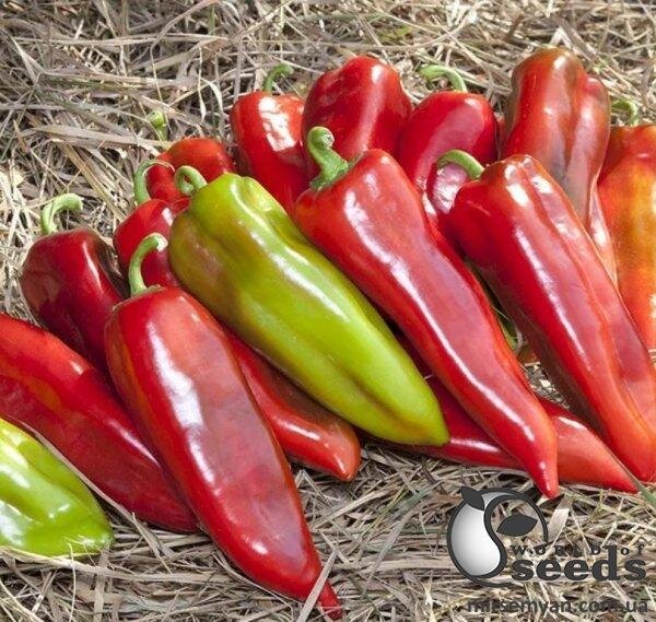 Перець Редкан F1 1000 семена Клоз (Clause) Перець Редкан F1 1000 семена Клоз (Clause)