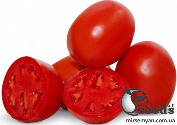 Томат Баста F1 1 000 семена Клоз (Clause) Томат Баста F1 1 000 семена Клоз (Clause)