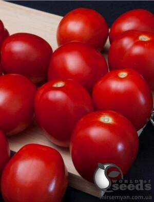 Томат Баста F1 1 000 семена Клоз (Clause) Томат Баста F1 1 000 семена Клоз (Clause)